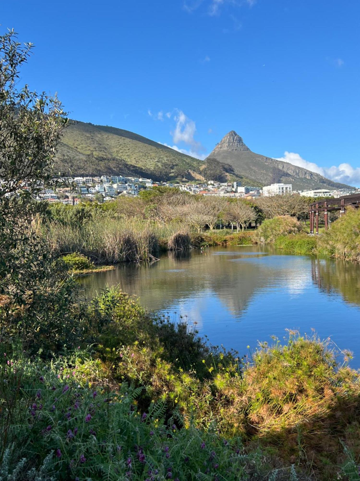 Old Cape Quarter 401 - De Waterkant Apartment *